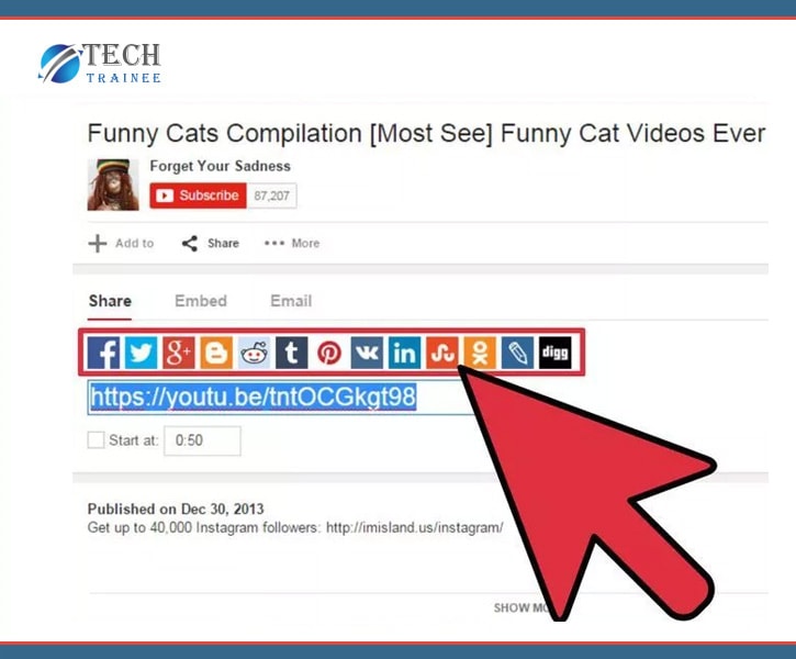 youtube video social share