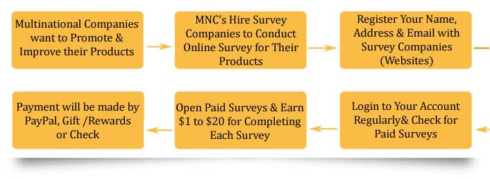 survey earn