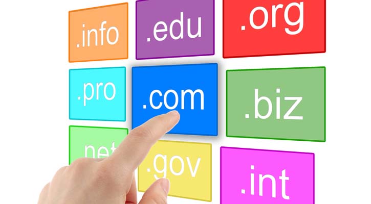 domain name