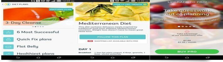 Diet Point Weight Loss