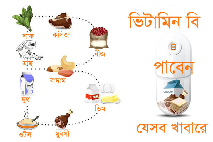vitamin b foods