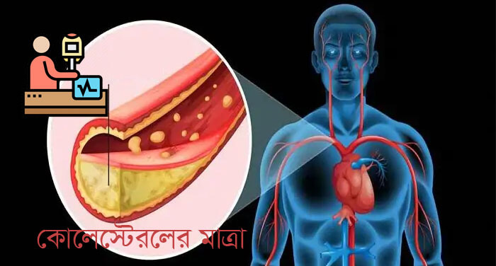 রক্তে কোলেস্টেরলের মাত্রা
