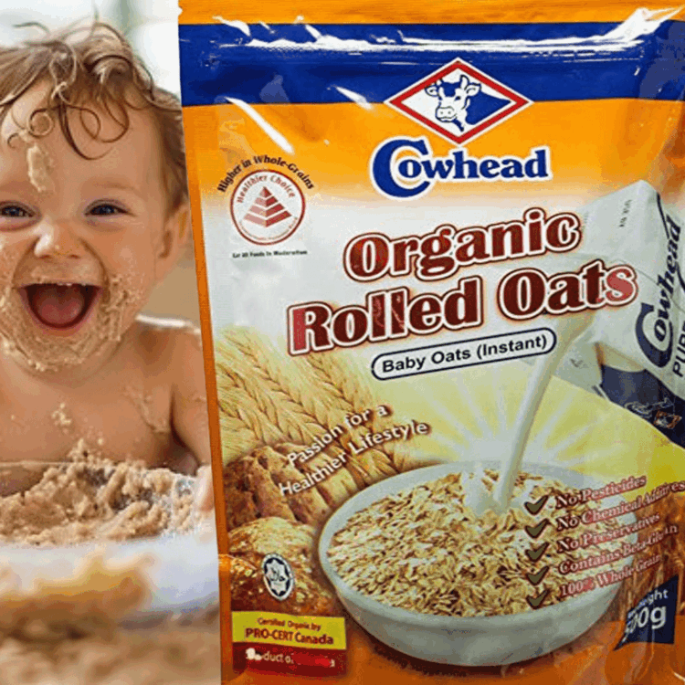 cowhead baby oats