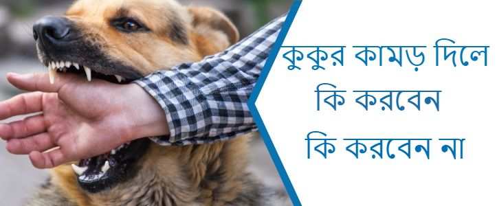 কুকুর কামড় দিলে