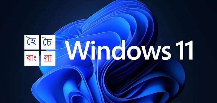 windows 11